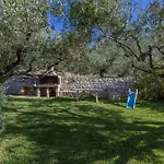 Delfinia Vlachata