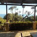 Apartment Delfinia Vlachata