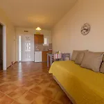 Delfinia Vlachata
