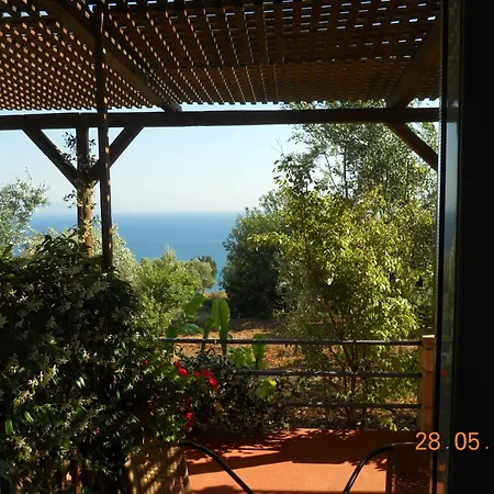 Delfinia