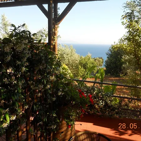 Delfinia Apartament *