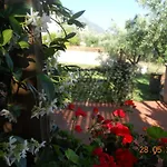 Delfinia * Vlachata