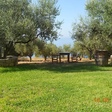 Delfinia Vlachata